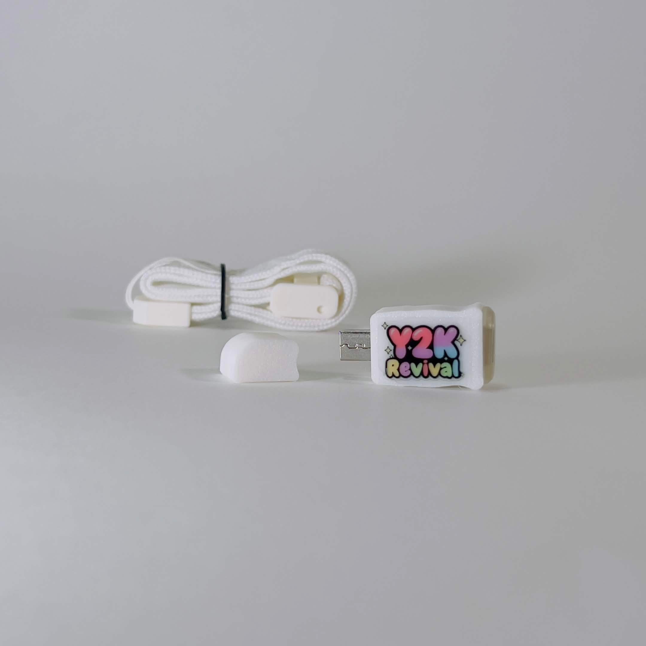Ds to USB C charger Converter with wrist strap